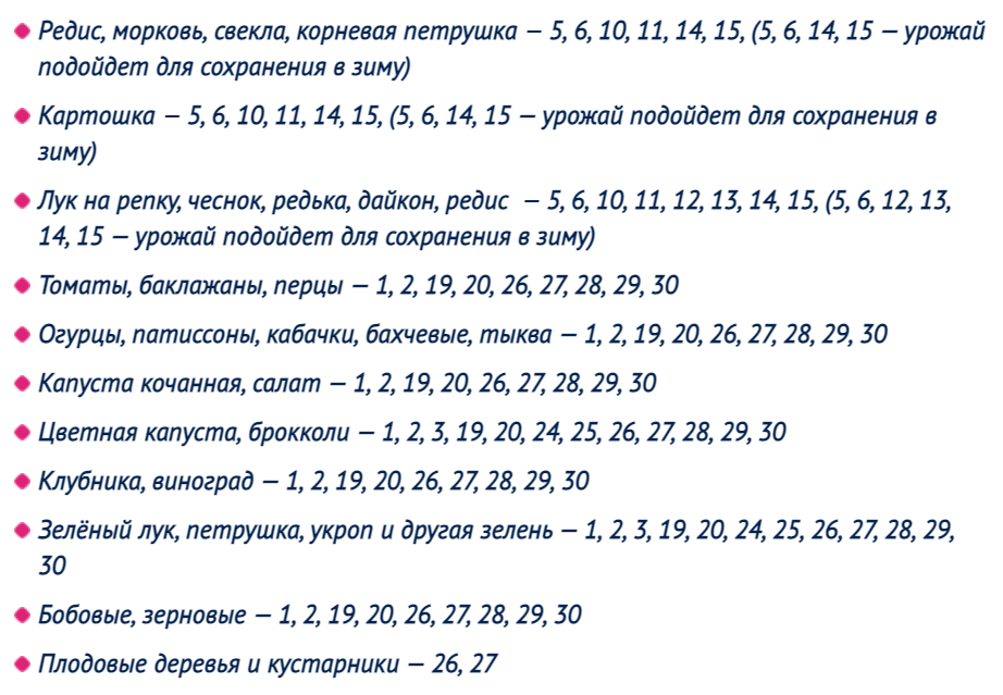 Огородничество в Сибири: когда сажать рассаду в теплицу и открытый грунт в 2023 году по лунному календарю