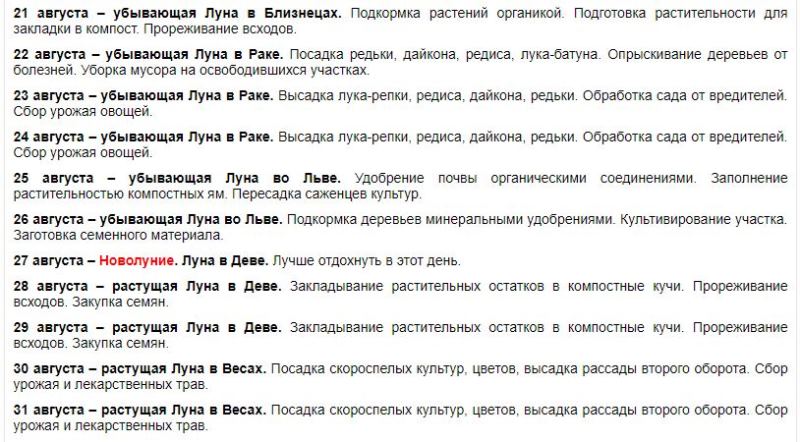 Советы для огородников на конец июля и август 2022 года по лунному календарю