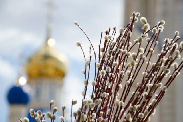 Возможна ли аллергическая реакция на вербные веточки