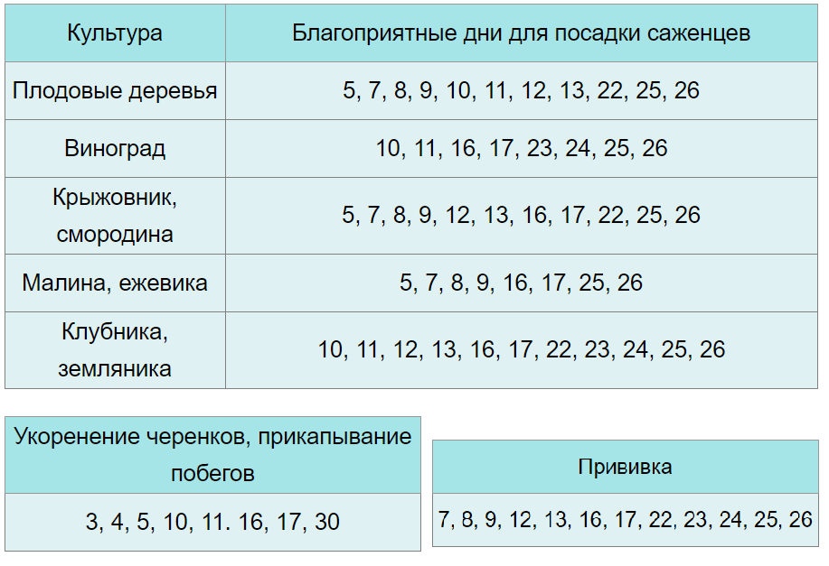 Когда в апреле 2023 года заниматься посевами: лунный календарь огородника, цветовода и садовода