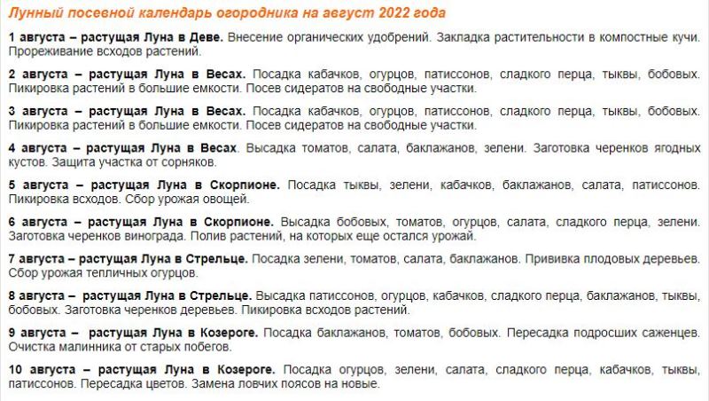 Советы для огородников на конец июля и август 2022 года по лунному календарю