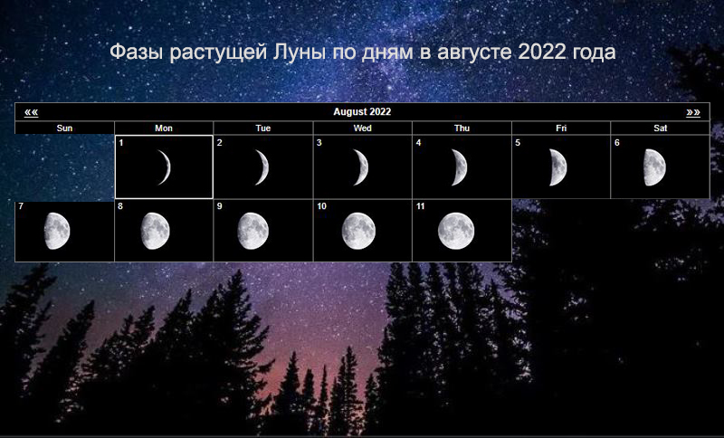 Готовимся к новым достижениям и не сорим деньгами: что можно и что нельзя делать на растущую Луну в августе 2022 года