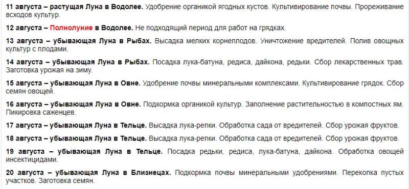 Советы для огородников на конец июля и август 2022 года по лунному календарю