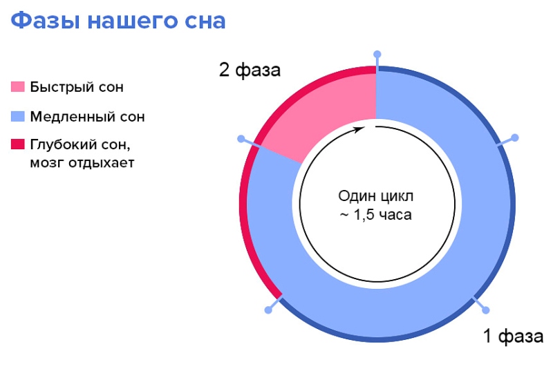 Действительно ли не все люди видят сны и от чего зависят сновидения