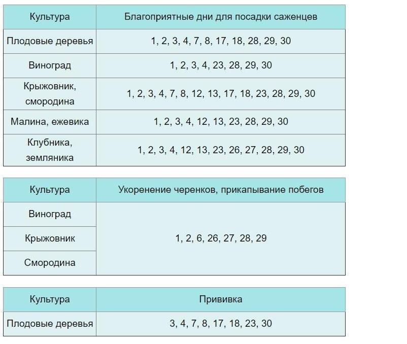 Для чего огородникам ориентироваться на лунный посевной календарь на июнь 2022 года