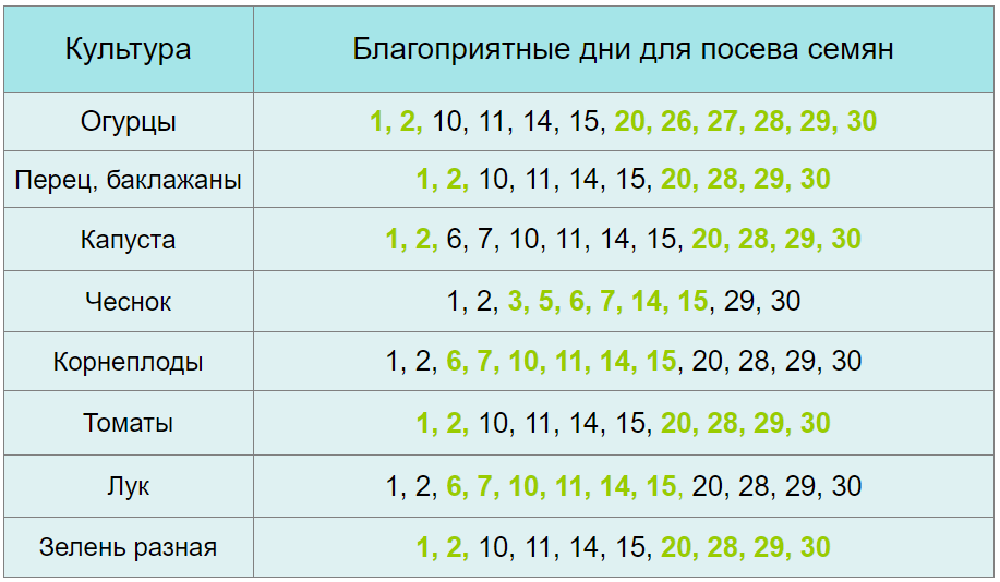 Когда заниматься посевами в мае-июне 2023 года огородникам из Подмосковья, Сибири и Краснодарского края