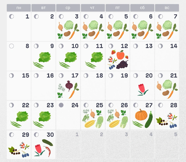 Когда по лунному календарю сажать овощи на даче: благоприятные дни в апреле 2024