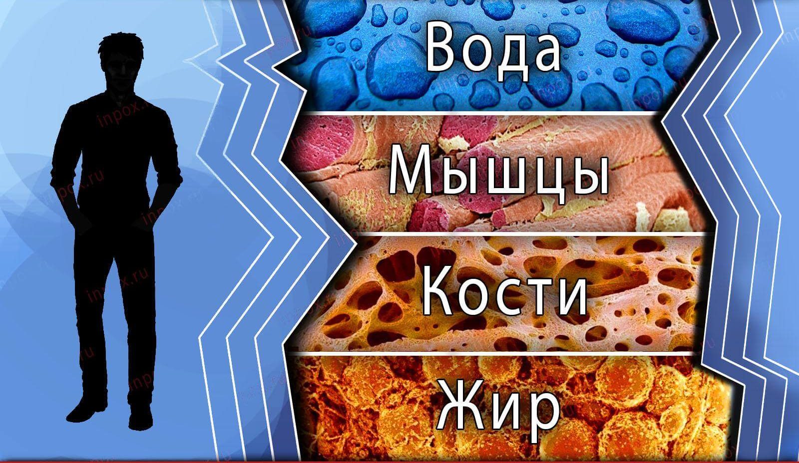 Реальные советы, как похудеть на 20 килограммов за несколько месяцев